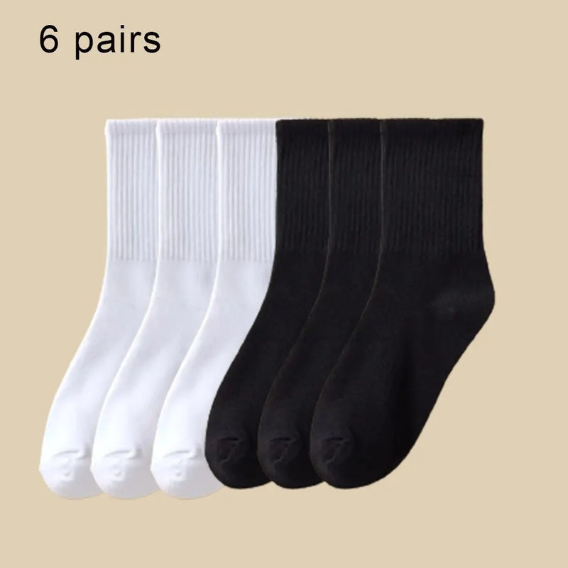6 Pares de Meias Cores Sólidas - Poliamida com Absorção de suor, respiráveis e confortáveis